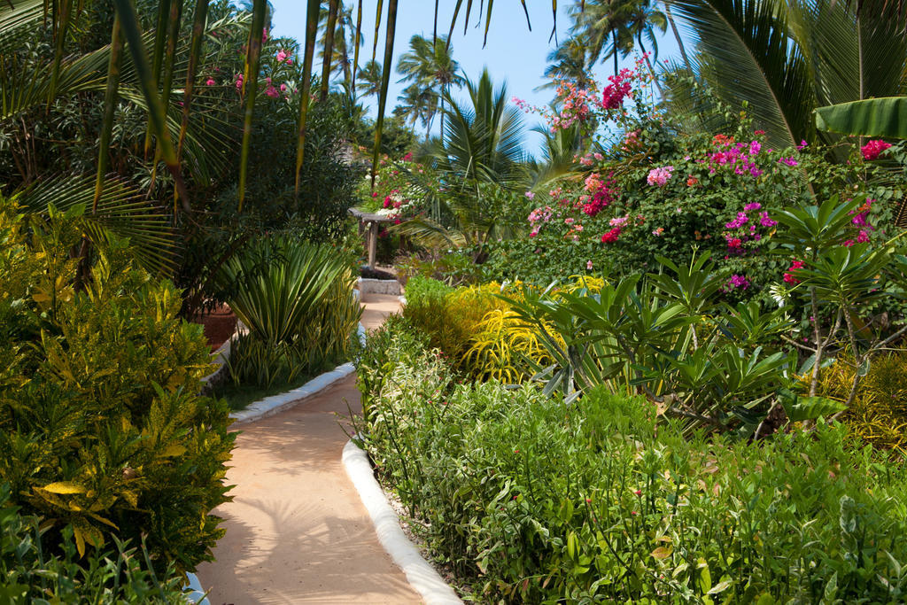 Green And Blue Ocean Lodge Sansibar Exterior foto