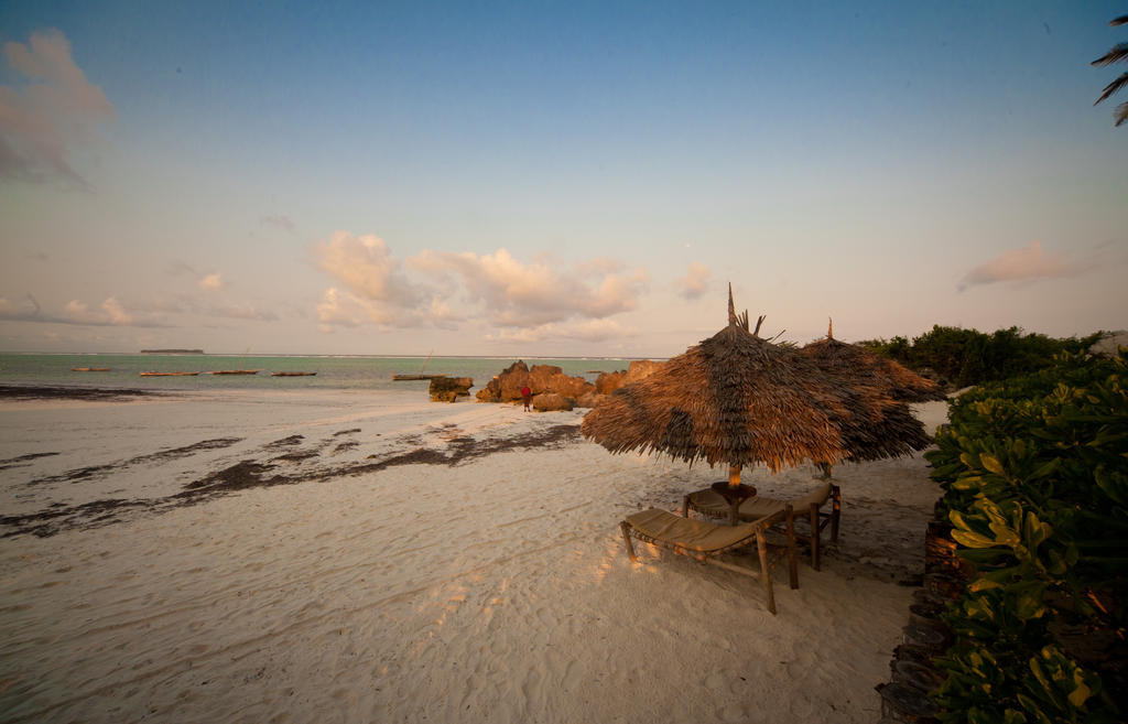 Green And Blue Ocean Lodge Sansibar Exterior foto